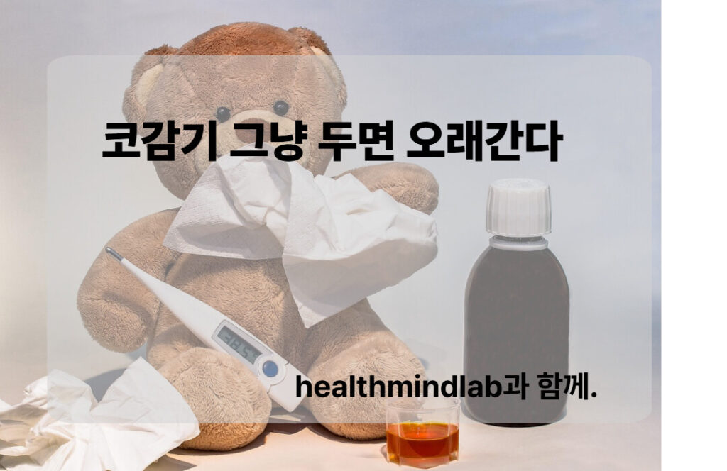 코감기에 대해 아래에 설명할꺼에요.